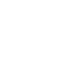 256x256 White Windows Client Icon