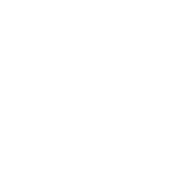 256x256 White Climbing Icon