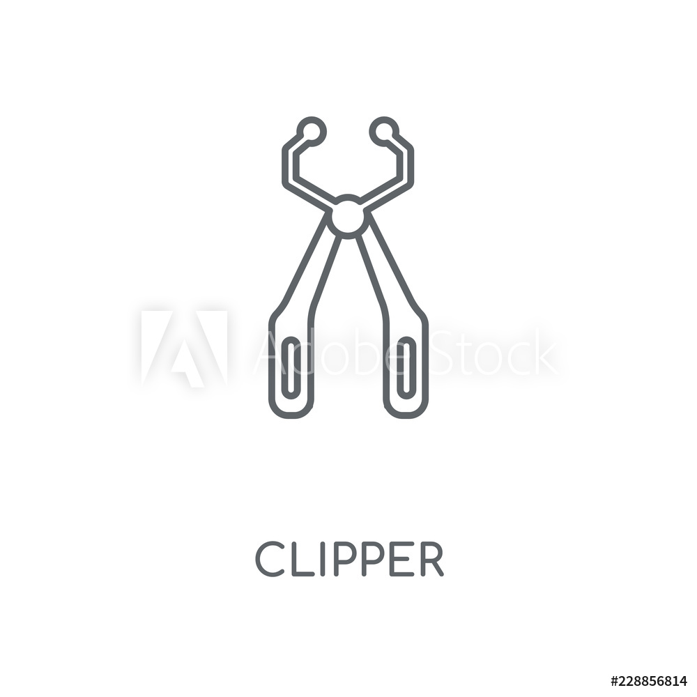 1000x1000 Photo Art Print Clipper Icon Europosters
