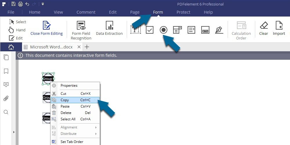 1000x500 Radio Button Gravity Pdf Mapping Gravity Pdf