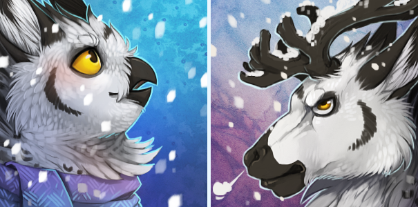 605x300 Cm Onom Winter Icon Pack