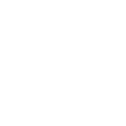 256x256 White Coca Cola Icon