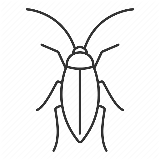 Cockroach Icon