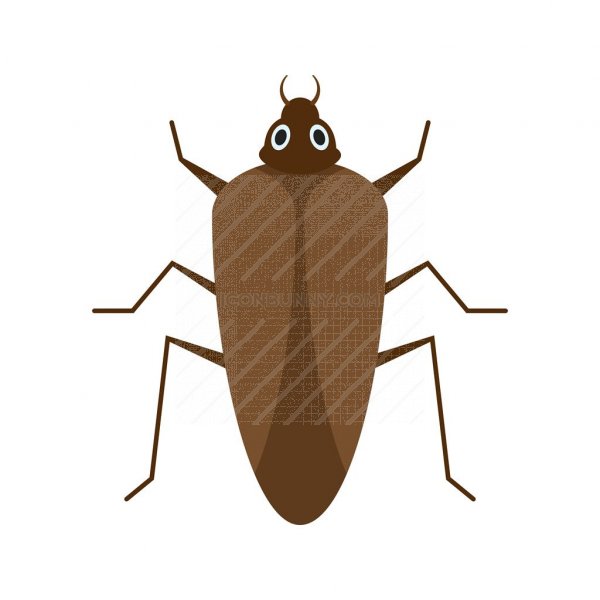 600x600 Cockroach Flat Multicolor Icon