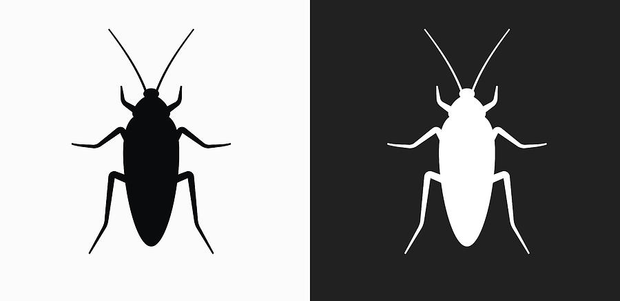 900x438 Cockroach Icon On Black And White Vector Backgrounds