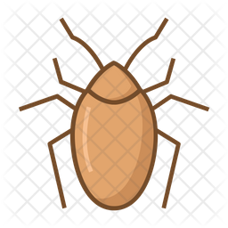 256x256 Cockroach Icon Of Colored Outline Style