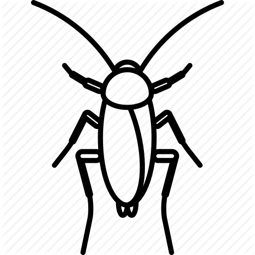 512x512 Animal, Cockroach, Crawler, Disgusting, Insect, Roach Icon