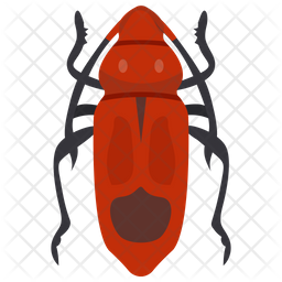 256x256 Cockroach Icon Of Flat Style