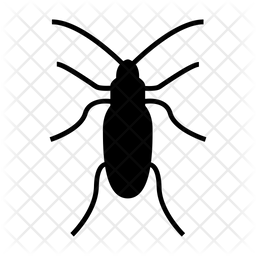 256x256 Cockroach Icon Of Glyph Style