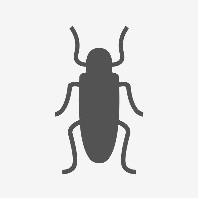 640x640 Vector Cockroach Icon, Bug, Cockroach, Roach Icon Png And Vector