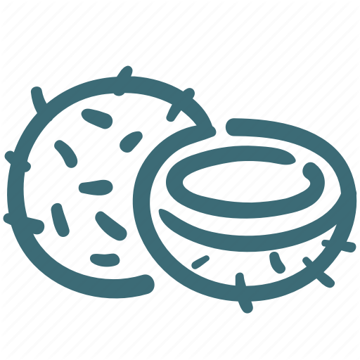 512x512 Coco, Coconut, Coconut Half, Food, Fruit Icon