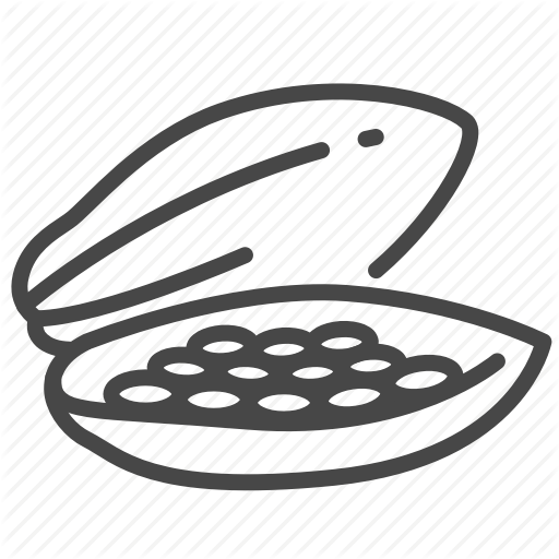 512x512 Bean, Cacao, Cocoa, Food, Nut, Pod, Seed Icon