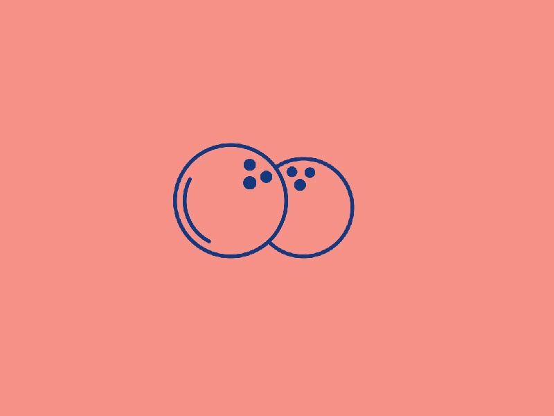 800x600 Coconut Icon