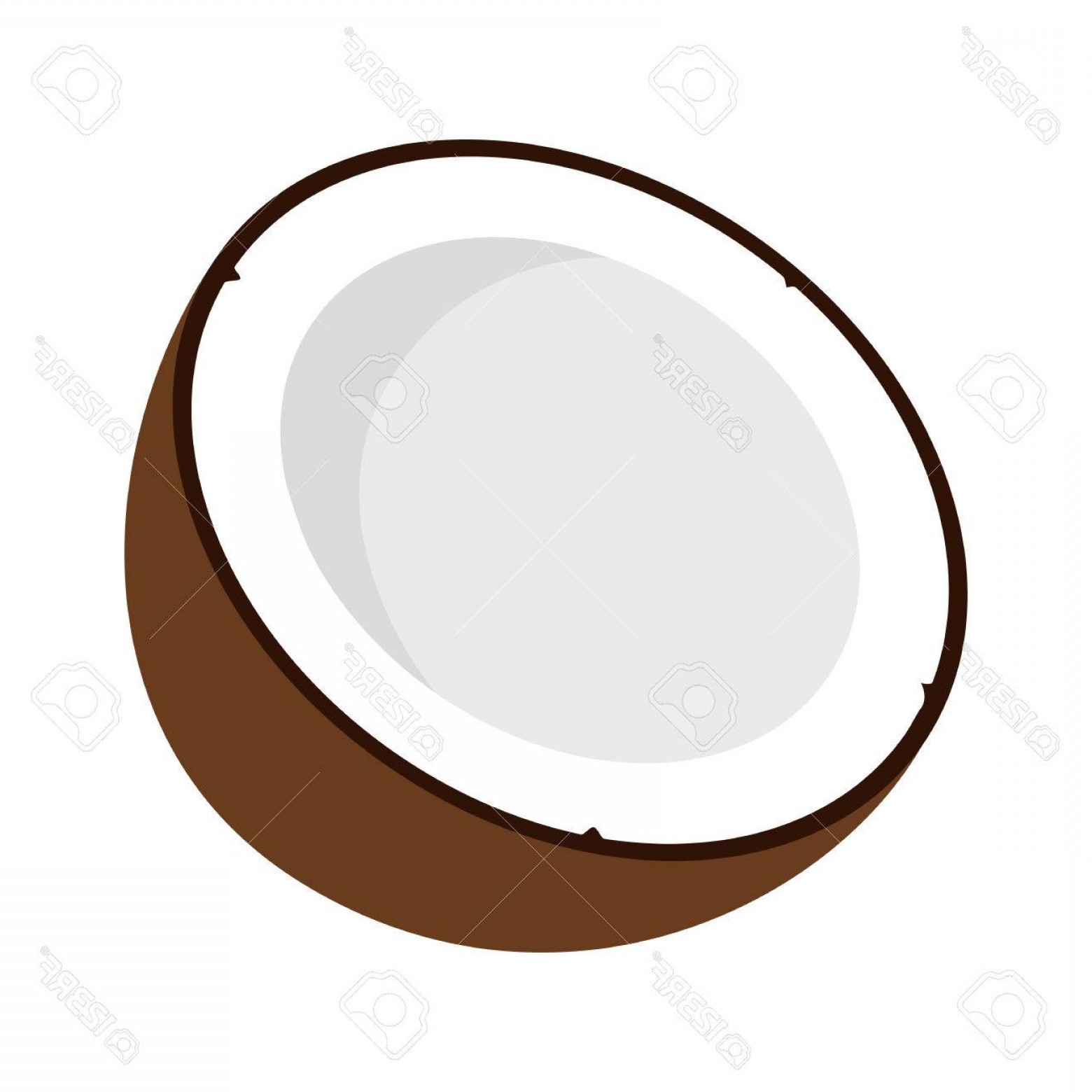 1560x1560 Coconut Vector Hoodamath
