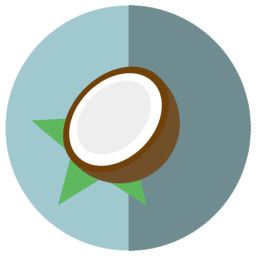 256x256 Coconut Icon Myiconfinder
