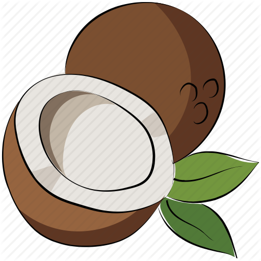 512x512 Coconut, Coconut Palm, Fruit, Healthy Diet Icon
