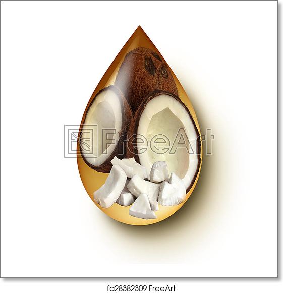 561x581 Free Art Print Of Coconut Oil Coconut Oil Liquid Drop Concept