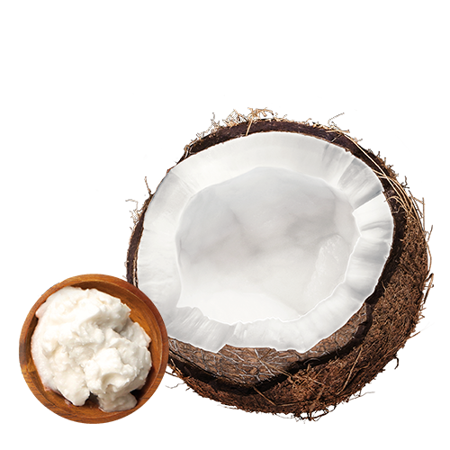 500x500 Organix Coconut Oil Icon Castor Pollux Natural Petworks