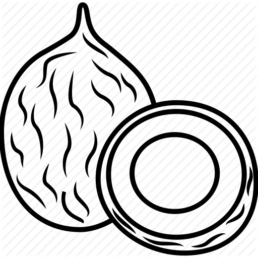 512x512 Coconut, Coconut Juice, Coconut Oil, Food, Fruits, Fruits Icon Icon