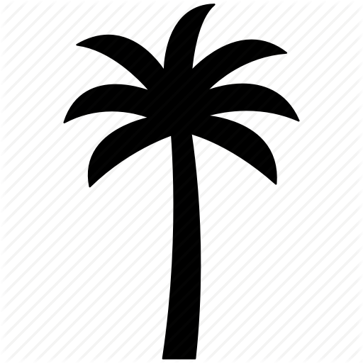 Coconut Tree Icon