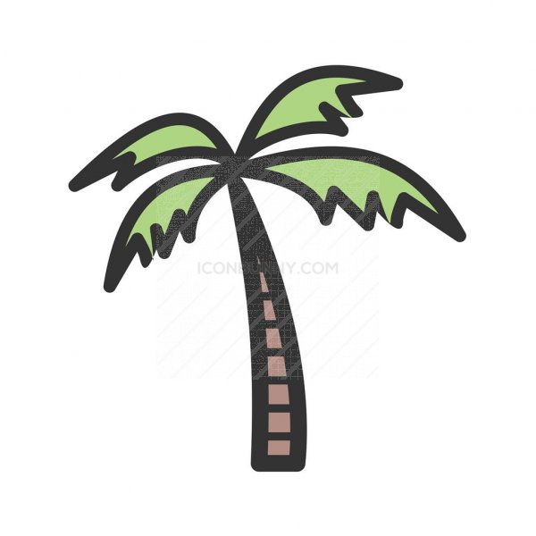 600x600 Coconut Tree Line Filled Icon