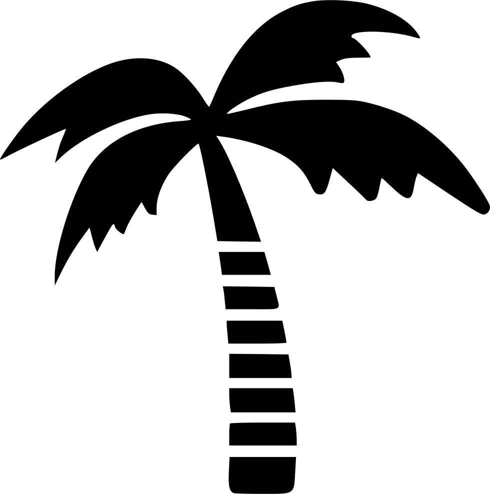 980x988 Coconut Tree Png Icon Free Download
