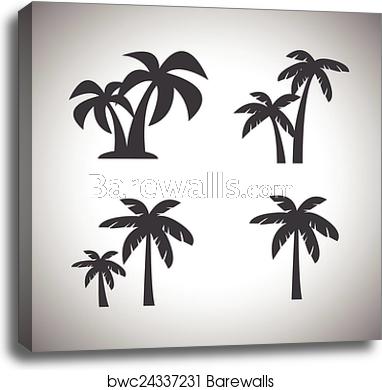 382x390 Coconut Tree Icon, Canvas Print Barewalls Posters Prints