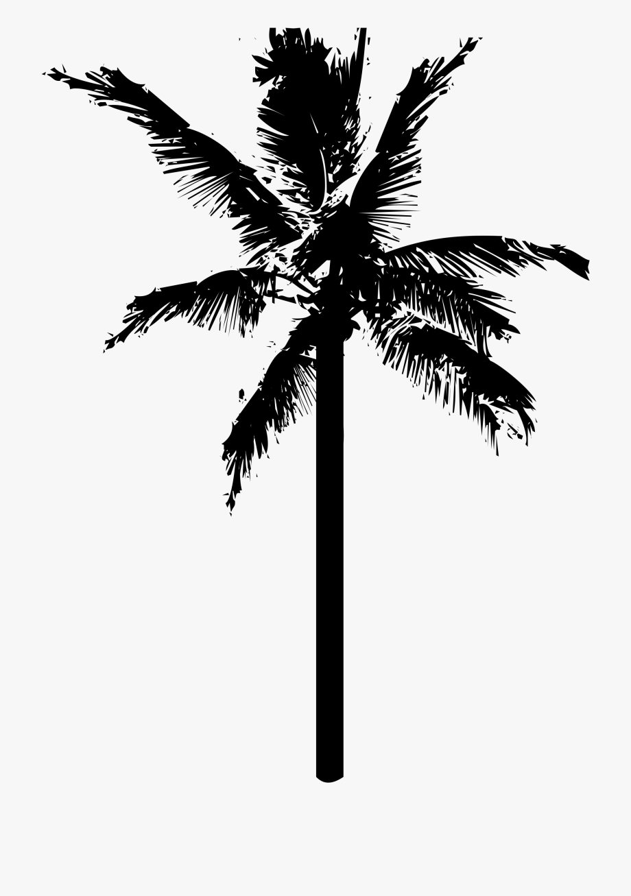 920x1307 Coconuts Vector Black And White