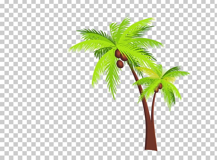 728x538 Kerala Arecaceae Coconut Travel Icon Png, Clipart, Arecaceae