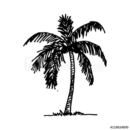 500x500 Doodle Coconut Tree Icon Hand Draw Illustration Design