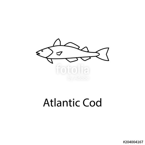 500x500 Atlantic Cod Icon Element Of Marine Life For Mobile Concept