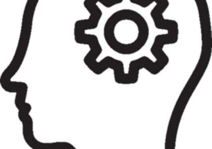 428x300 Services Fortuna It Consulting