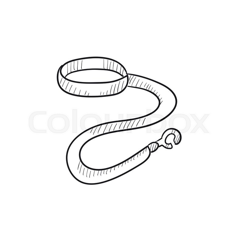 800x800 Dog Leash And Collar Vector Sketch Stock Vector Colourbox