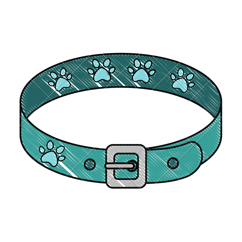 800x800 Necklace Pet Collar Isolated Icon