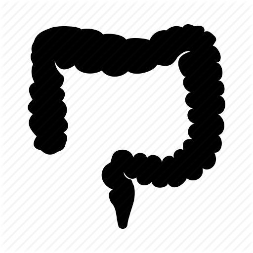 512x512 Colon, Digestive System, Feces, Large Intestine, Rectum Icon