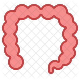 256x256 Colon Icon Of Colored Outline Style