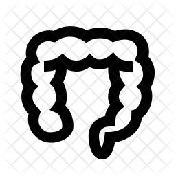 256x256 Colon Icon Of Line Style