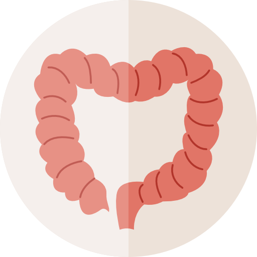 512x512 Colon Icon