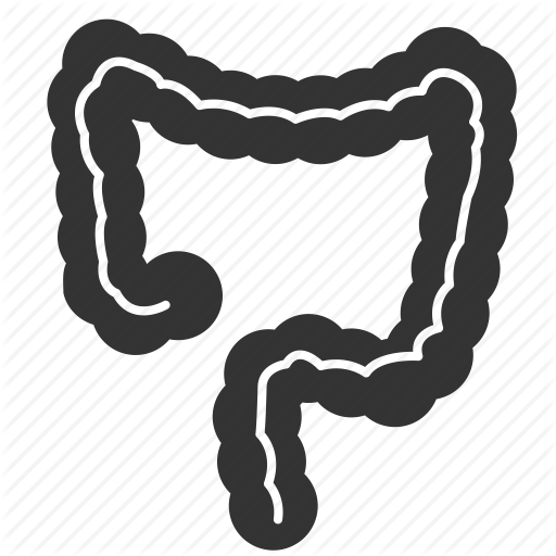 512x512 Anatomy, Biology, Body, Colon, Entrail, Large Intestine, Organ Icon