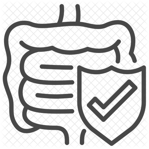 512x512 Healthy Colon Icon Of Line Style