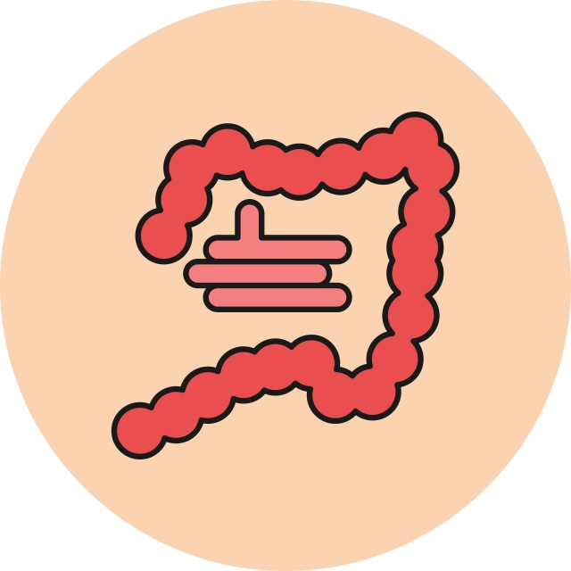 640x640 Intestine Icon For Your Project, Intestine, Anatomy, Colon Png