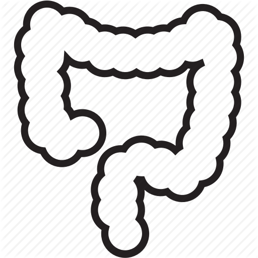 512x512 Anatomy, Colon, Intestine, Medical Icon