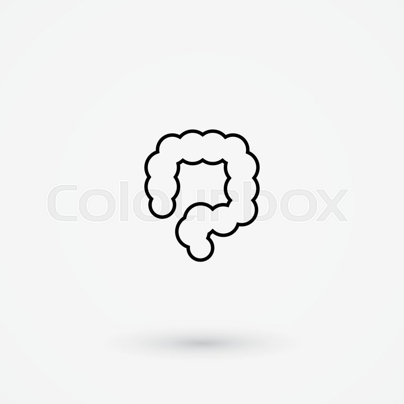 800x800 Vector Colon Simple Icon Human Stock Vector Colourbox