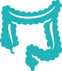 219x250 Colon Icon