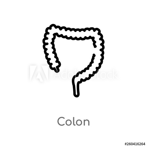 500x500 Outline Colon Vector Icon Isolated Black Simple Line Element
