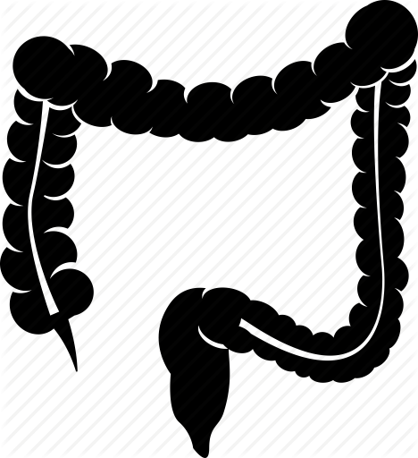 468x512 Cancer, Colorectal, Intestine Icon