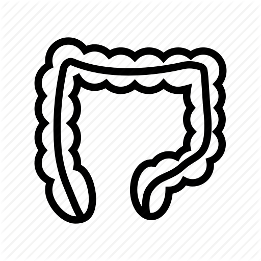 512x512 Colon, Colorectal, Digestion, Gastroenterology, Intestine Icon