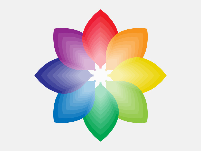 800x600 Color Wheel Icon