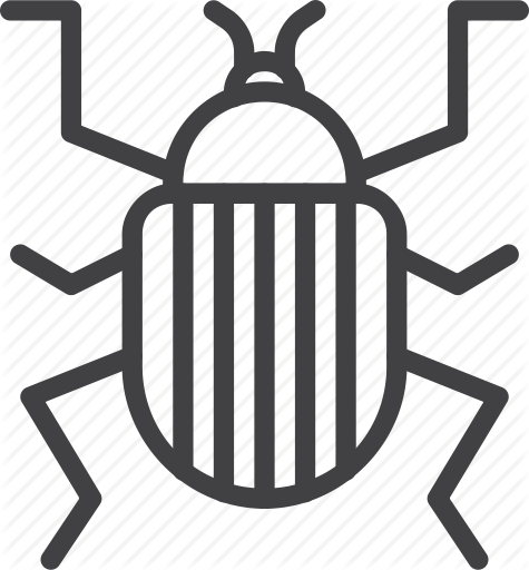 475x512 Beetle, Bug, Colorado Icon