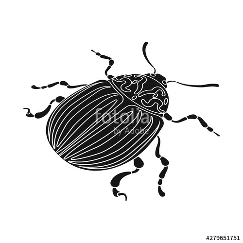 500x500 Isolated Object Of Beetle And Colorado Icon Collection Of Beetle